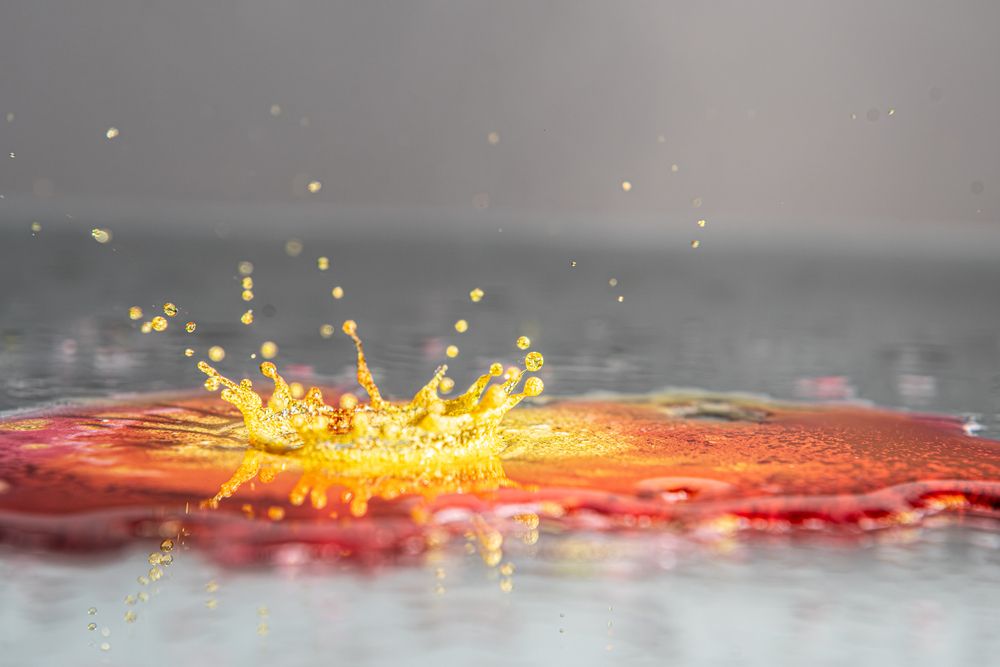 Фотография автора Павел Ващилов