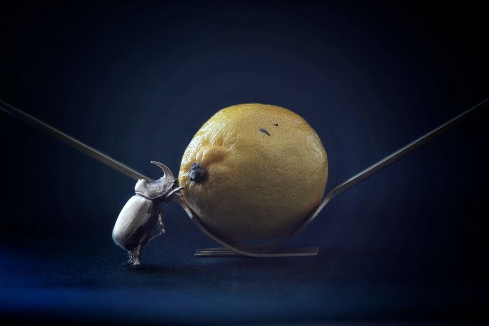 Photograph by AlexaL