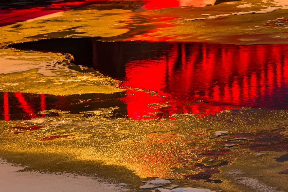 Фотография автора Елена Гусева