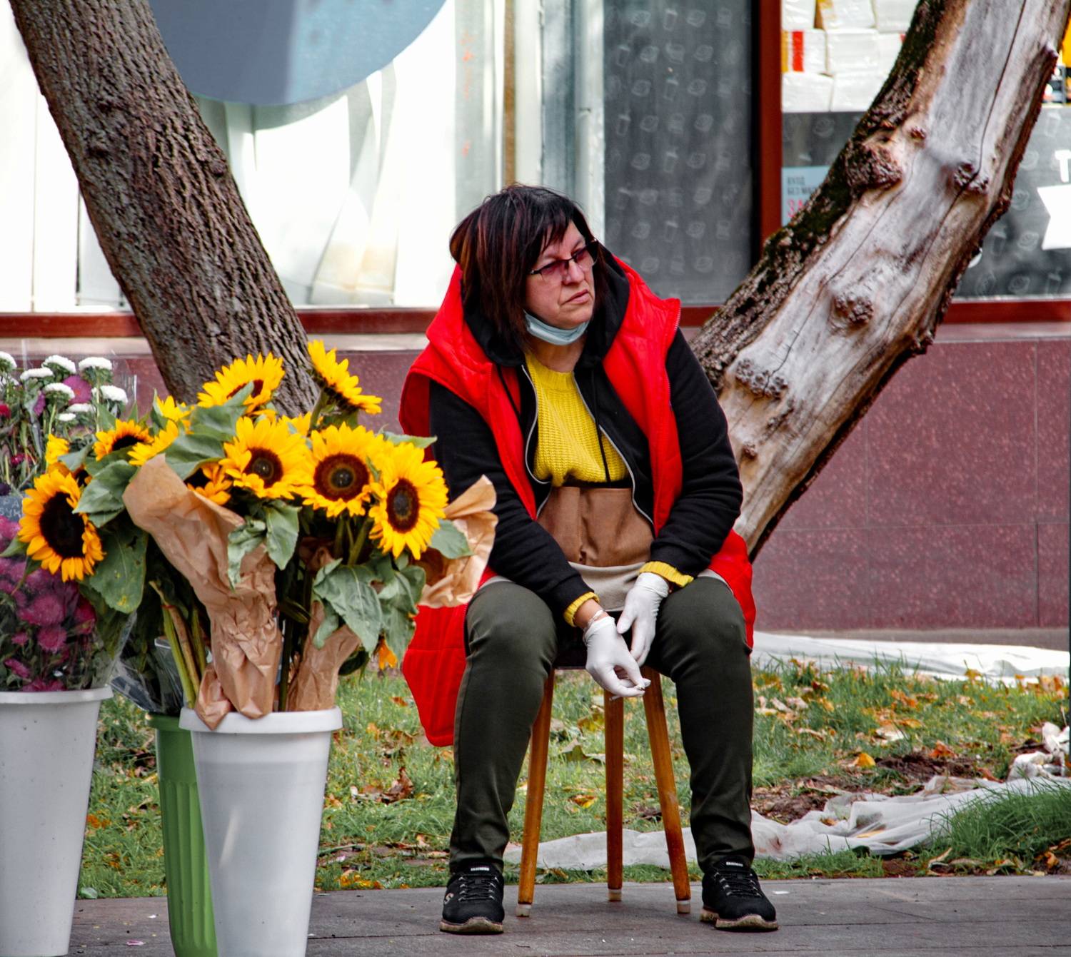 Photo #13439773