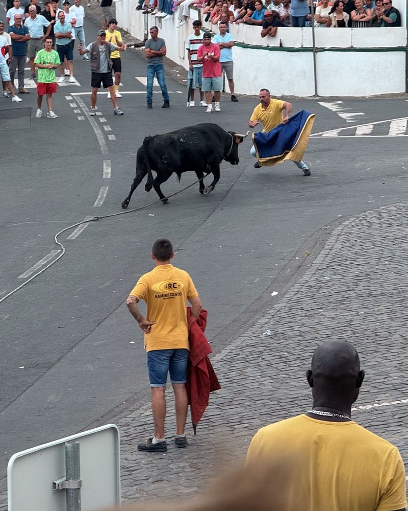 Фотография автора Юлия Зырина