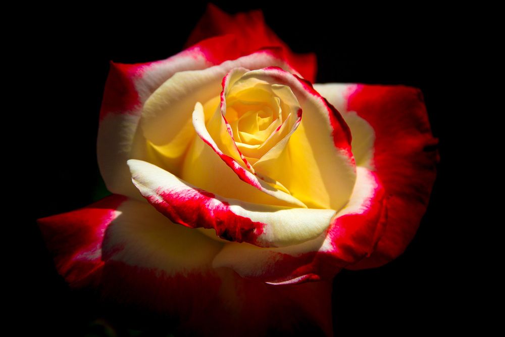 Фотография автора Nikolay Tatarchuk