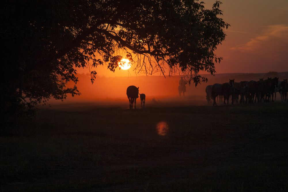 Photograph by Ольга Акутина