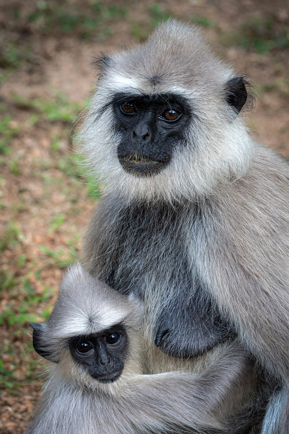 Photo #13440056