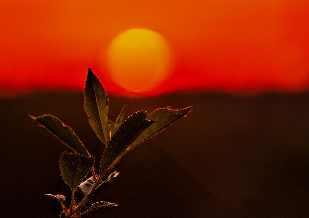 Фотография автора Владимир Чуприков