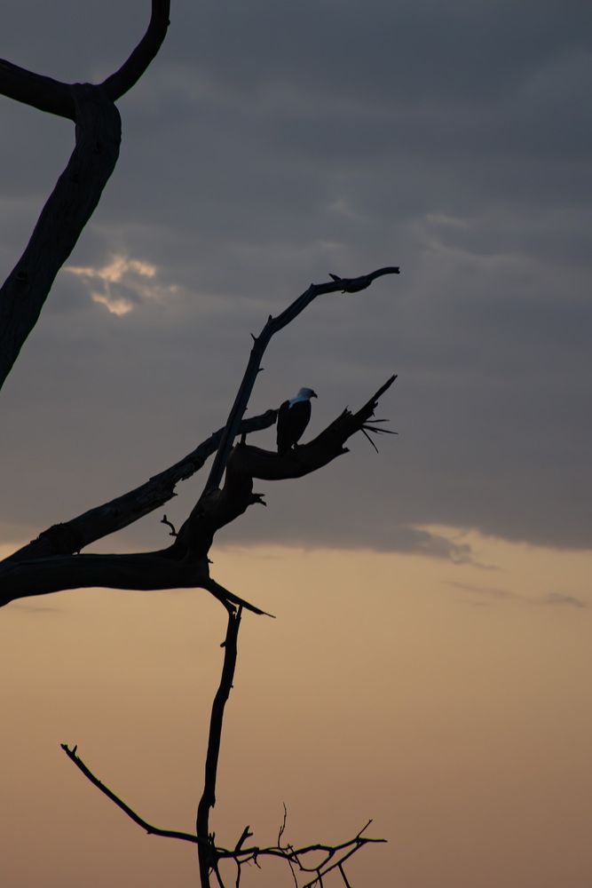 Photograph by Наталья Кокорина