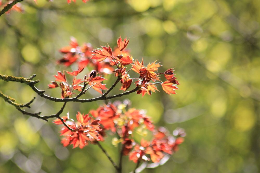 Photograph by Марина Лосева