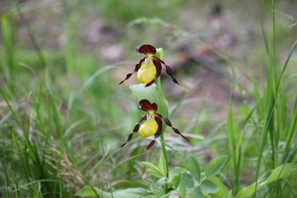 Photograph by Марина Лосева