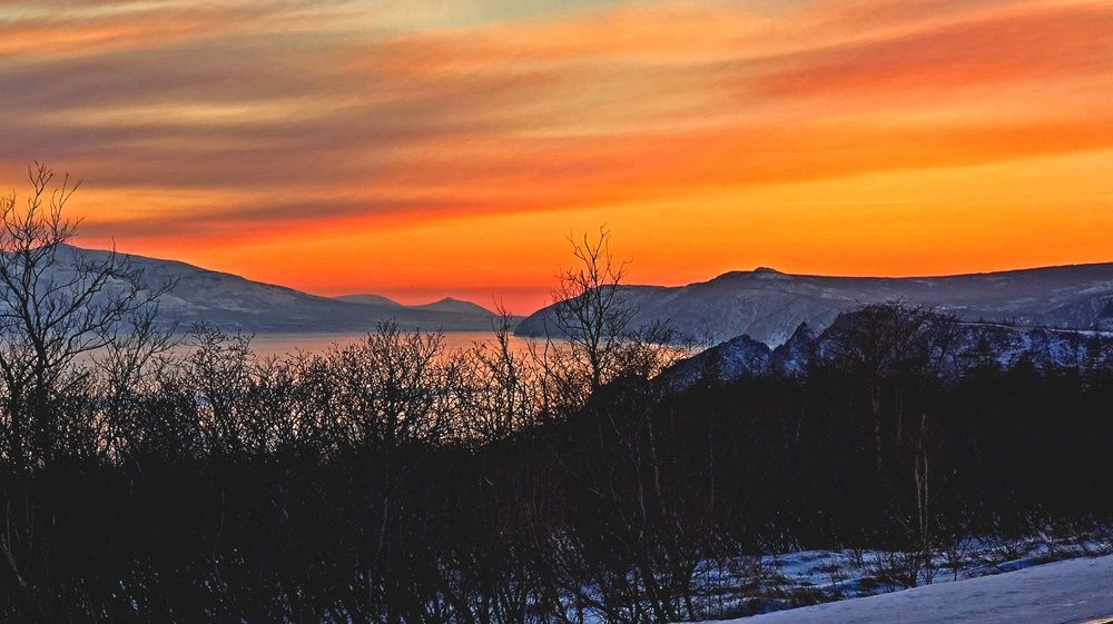 Фотография автора Лариса Ким