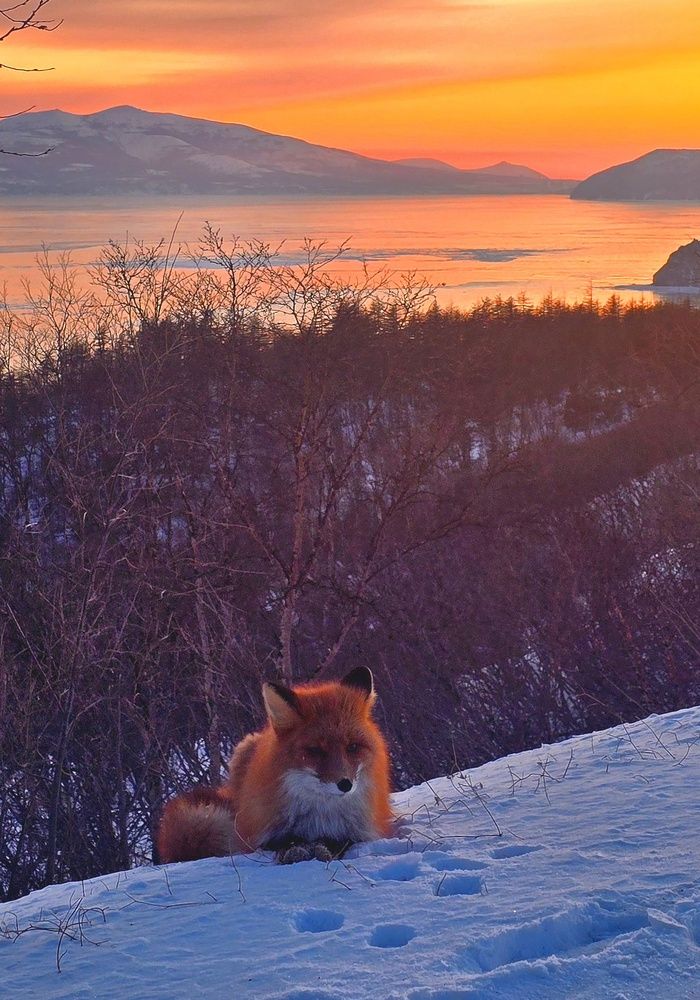 Фотография автора Лариса Ким