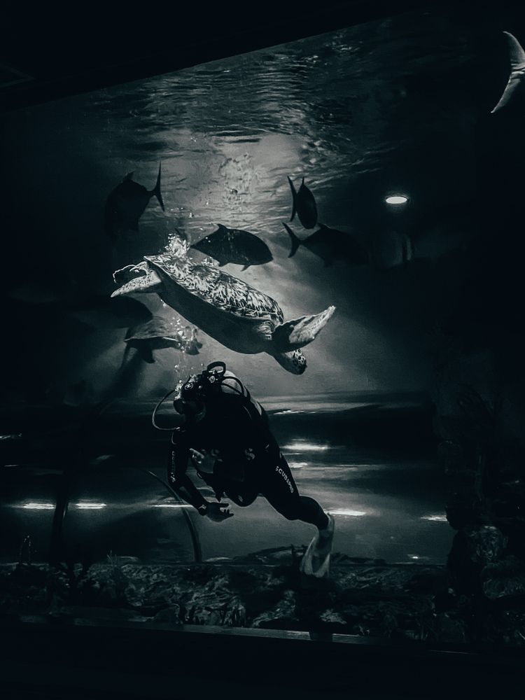 Photograph by Никита Зубов