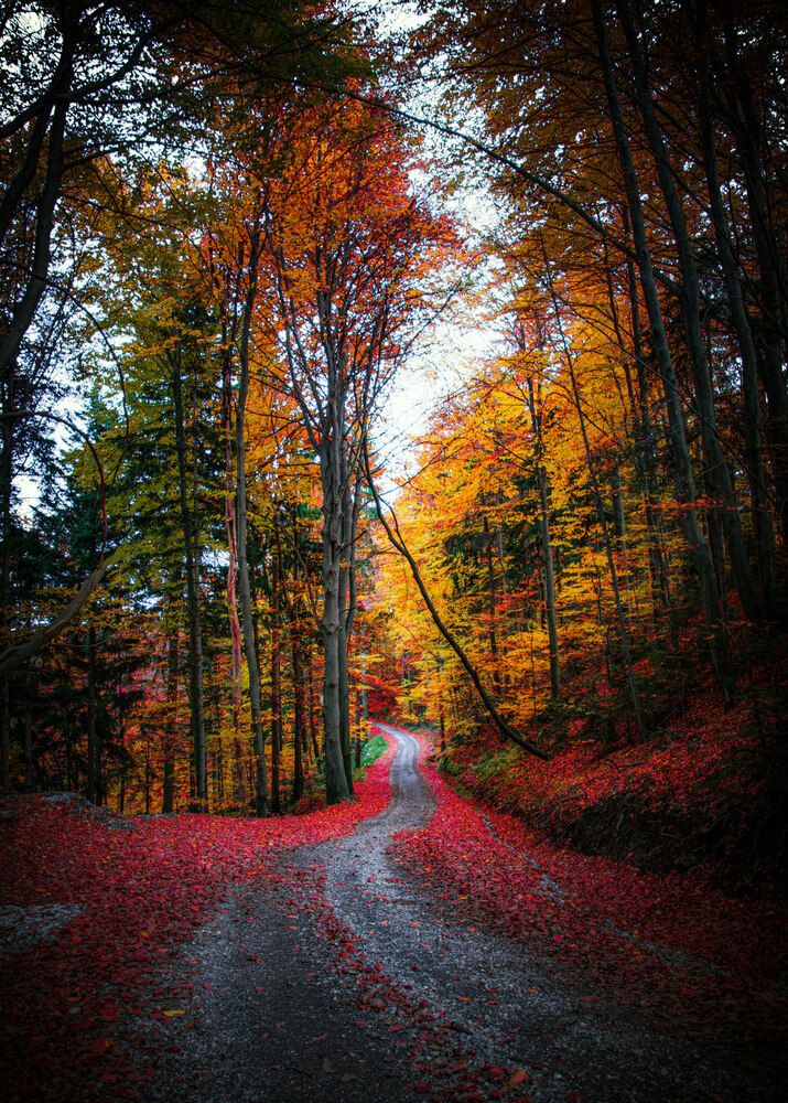 Photograph by Darko Kordic
