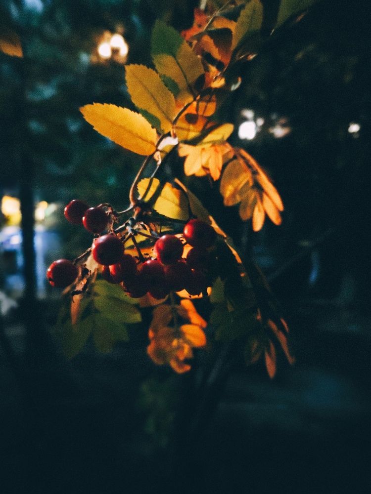 Фотография автора Наталья Силантьева