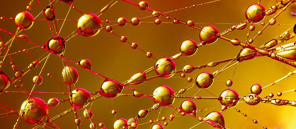 Фотография автора Подосинников Максим