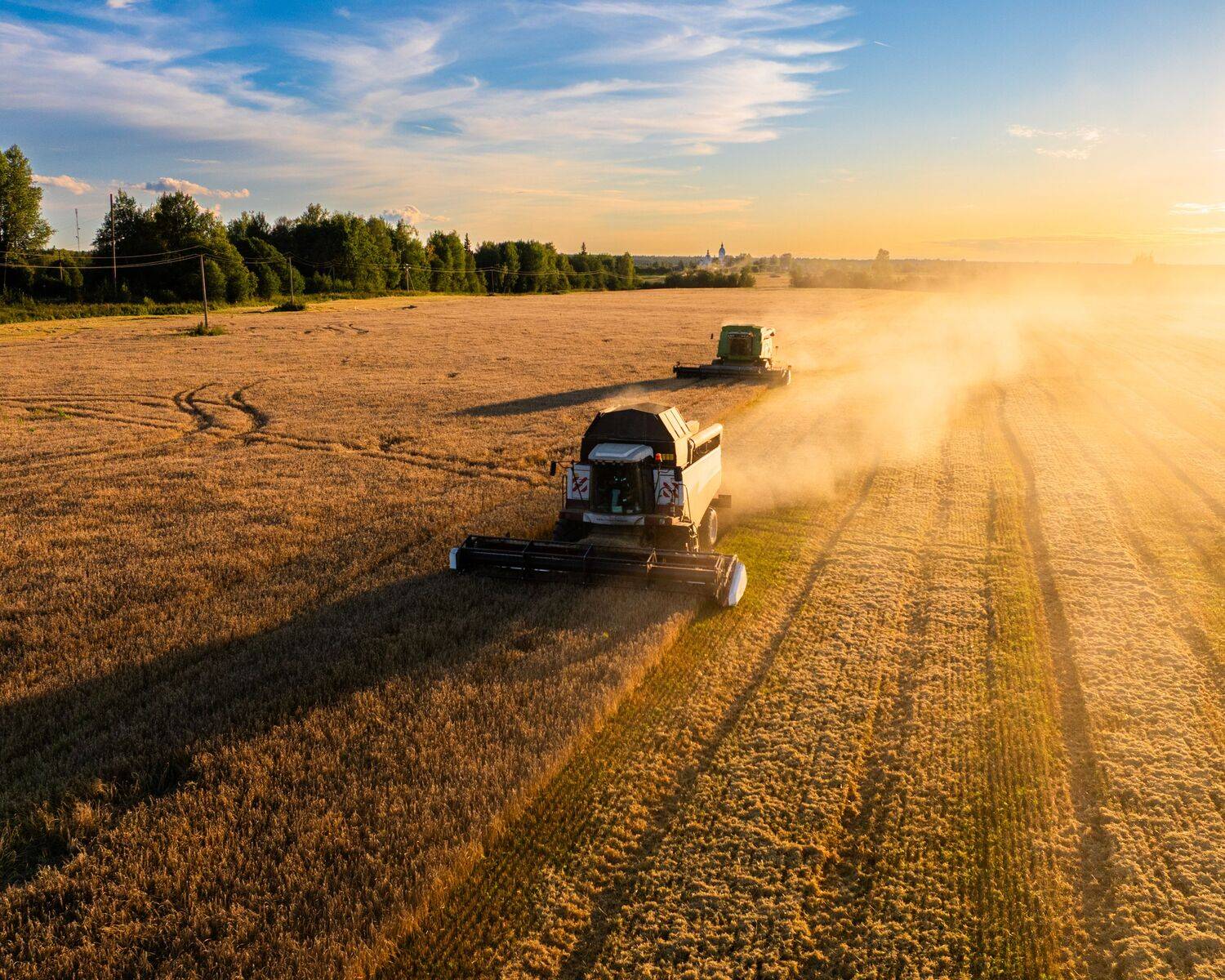 Фотография #13440174