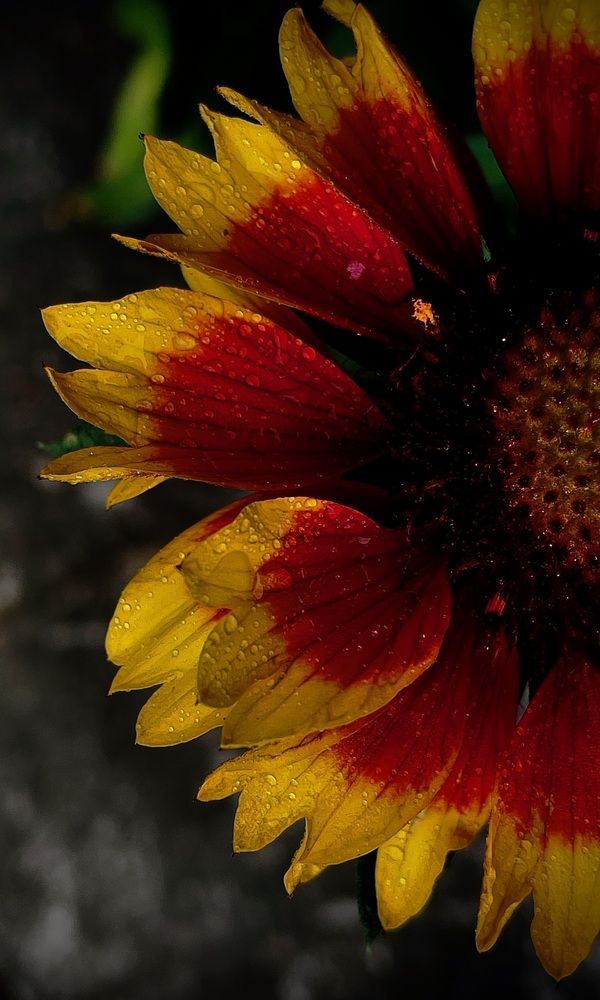 Photograph by Анна Пигулевская