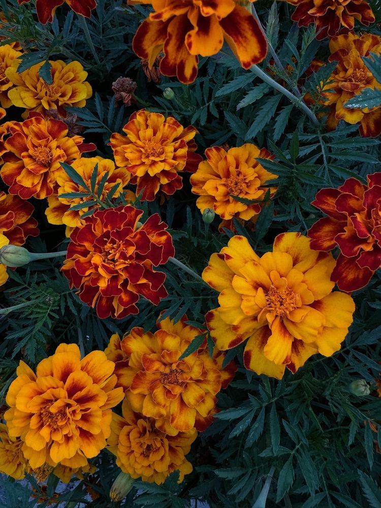 Photograph by Анна Пигулевская