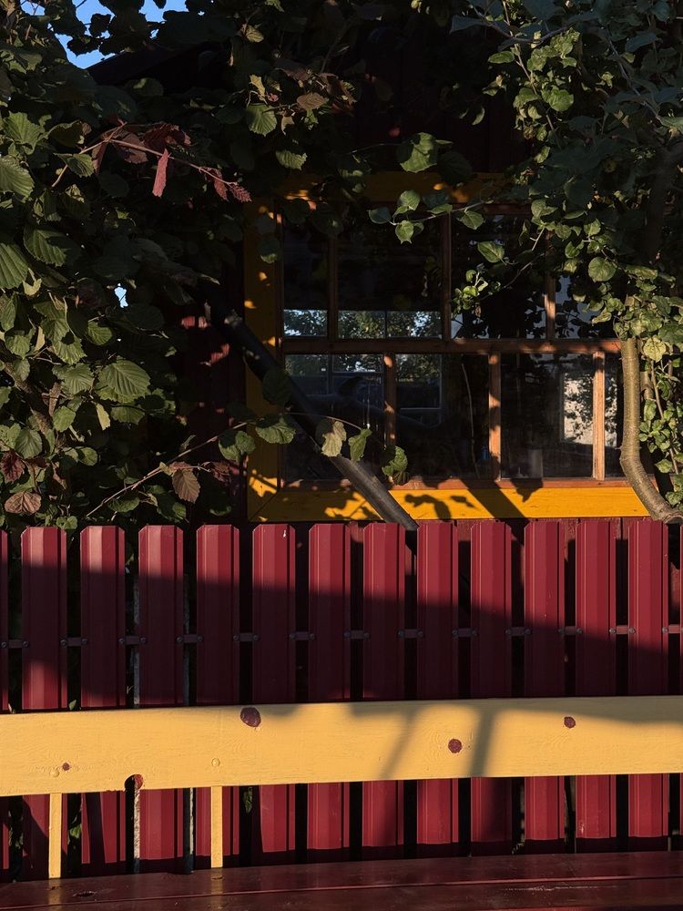 Photograph by Анна Пигулевская