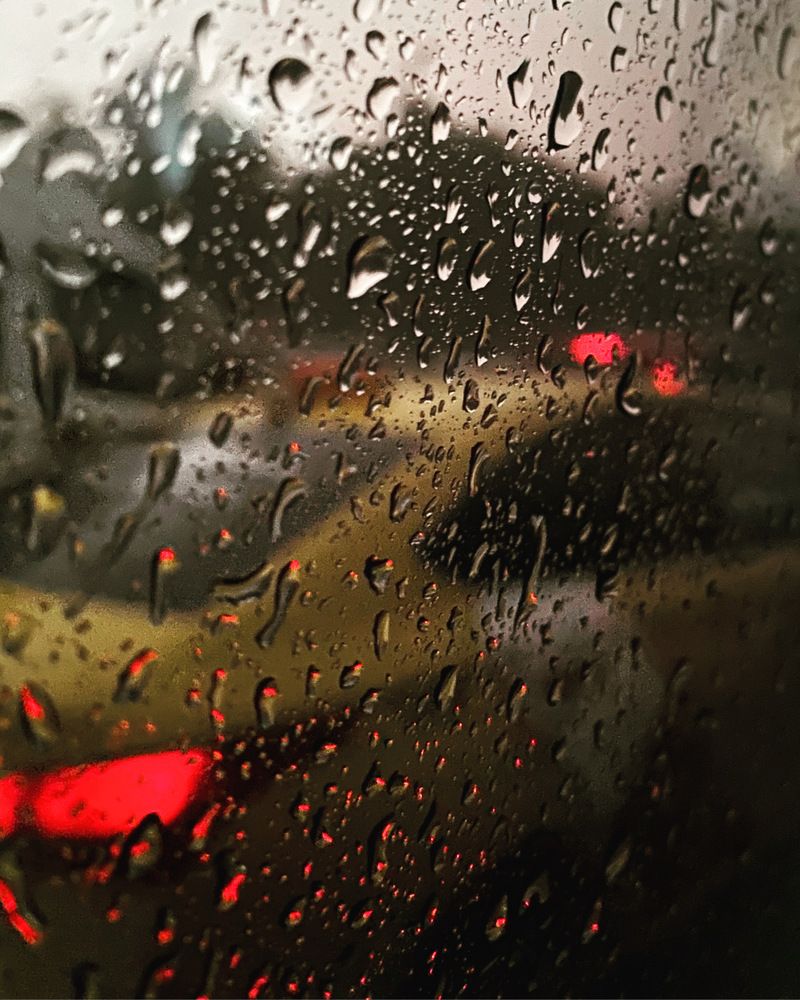 Photograph by Екатерина Комиссарова