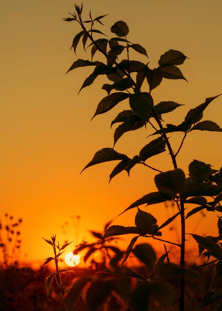 Photograph by Галина Искандарова