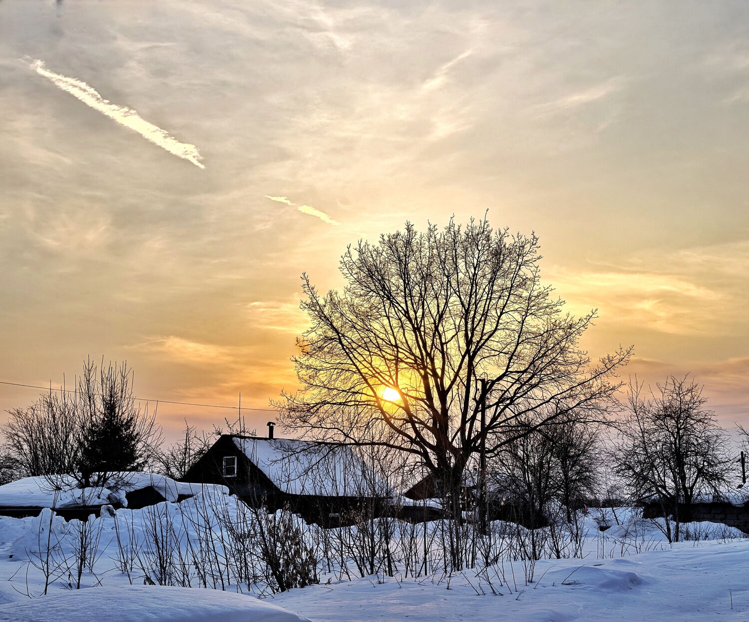 Photo #13440356
