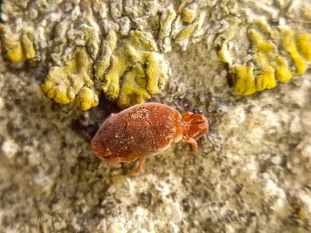 Photograph by Александр Казачек