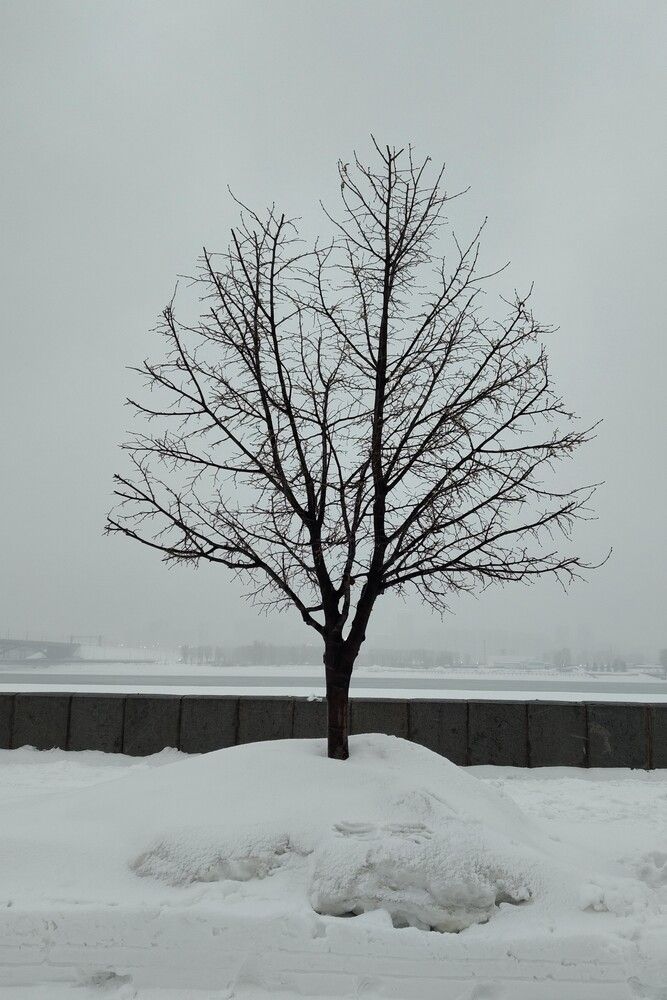 Photograph by Алексей Дерендяев