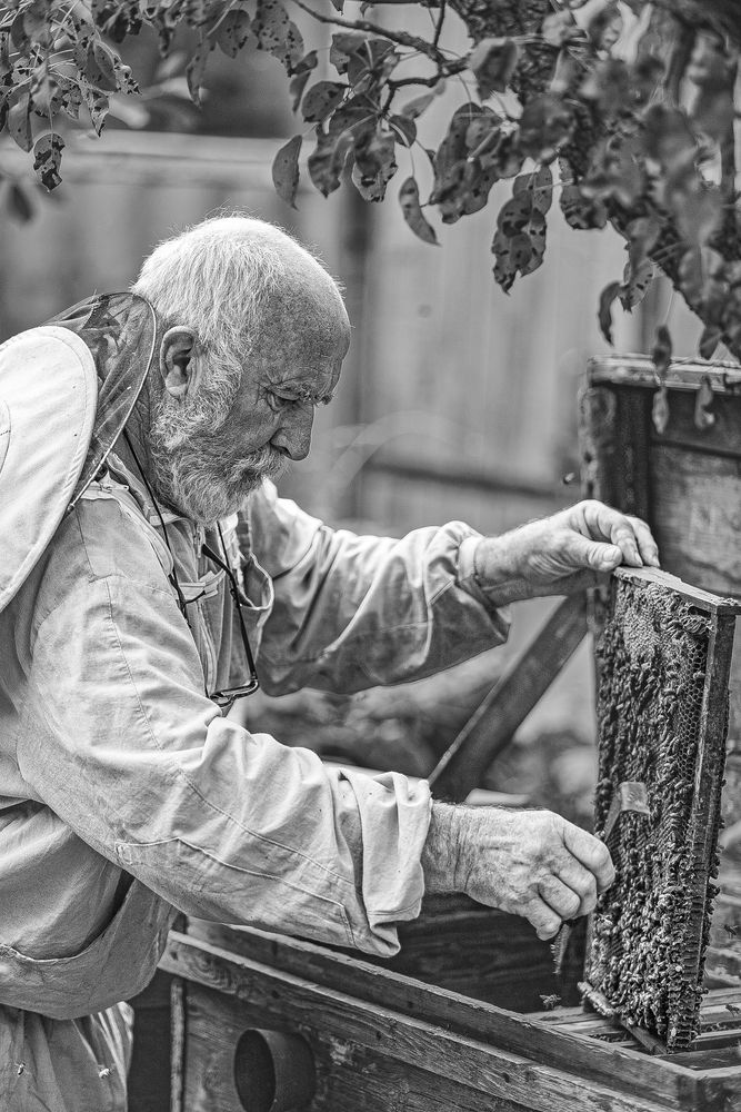 Photograph by Лупина Михаил