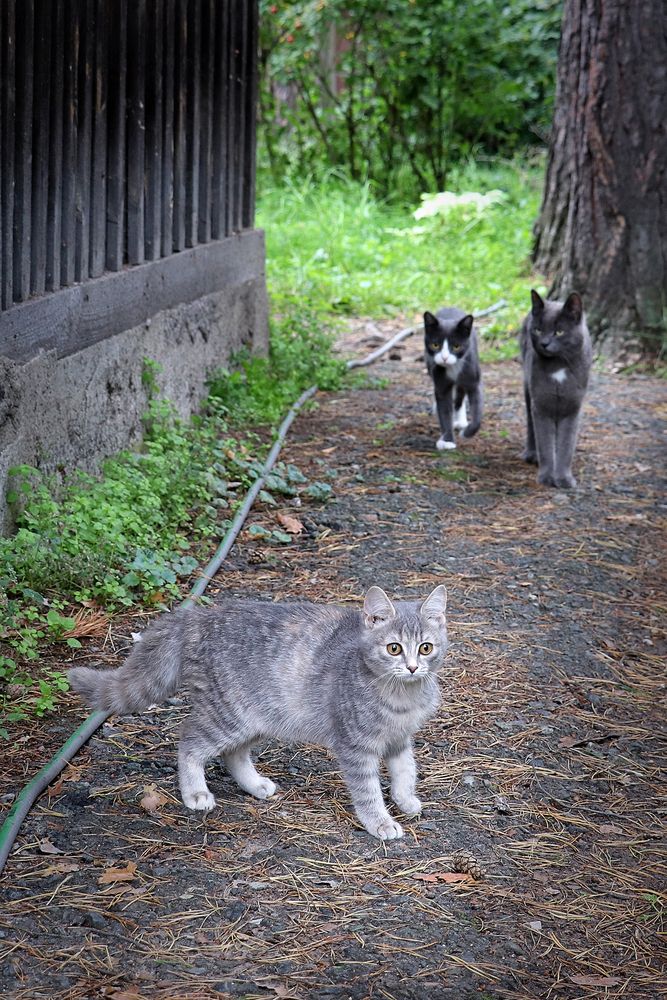 Photograph by Татьяна Елькина