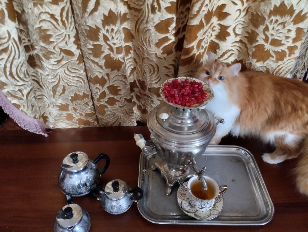 Фотография автора Надежда Болтунова