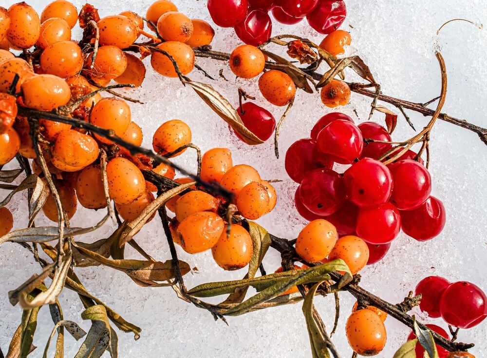 Фотография автора Николай Абакумов