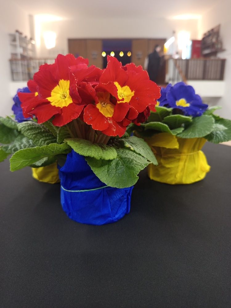 Photograph by Jindřiška Kučerová