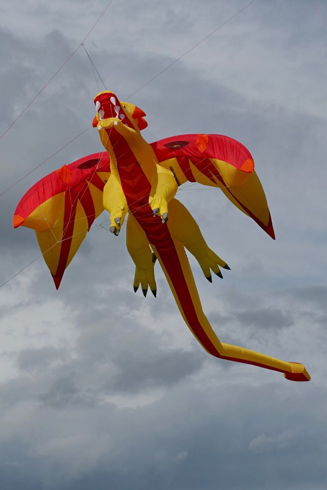 Photograph by николай зайцев