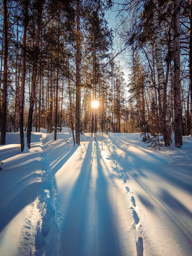 Photograph by Александр Хухлов