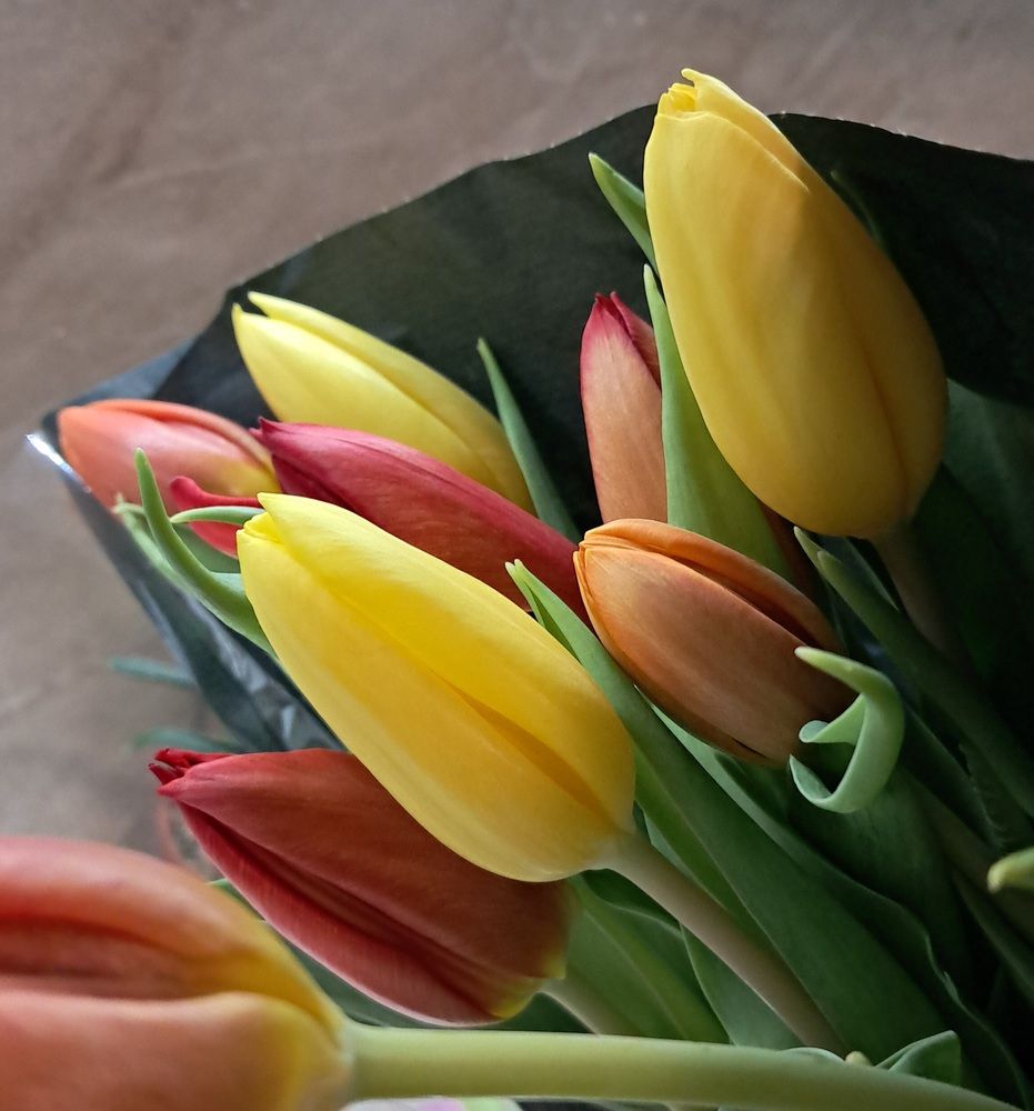 Photograph by Елена Василева