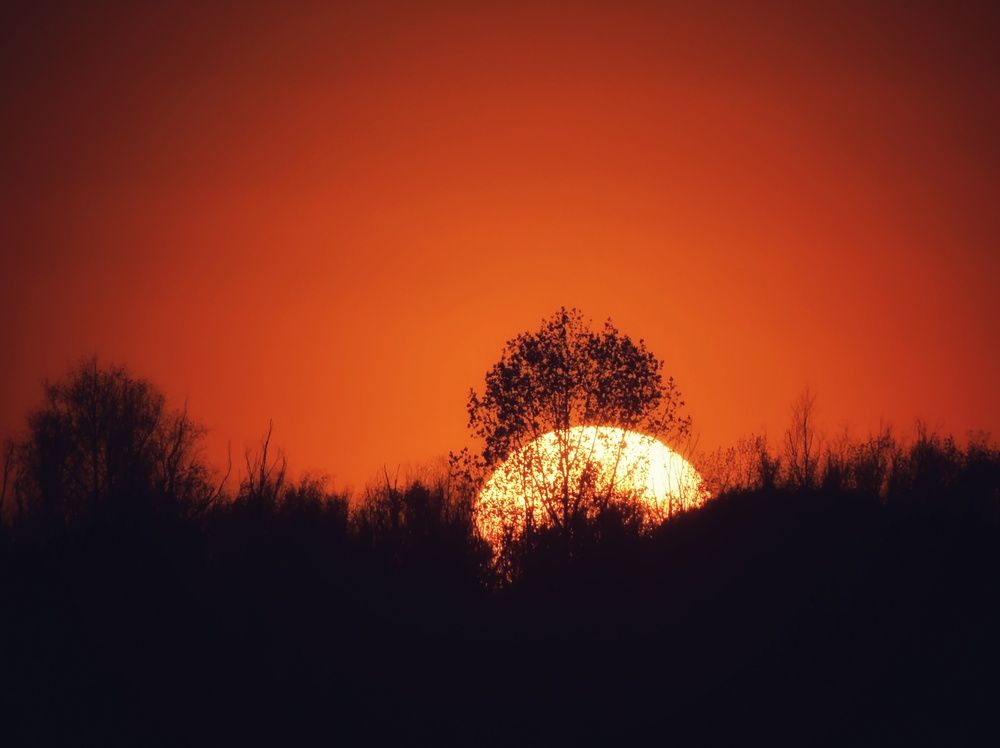 Photograph by Елена Василева