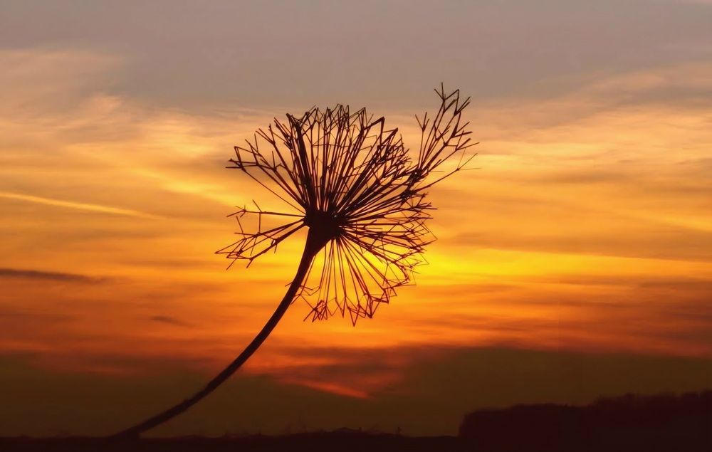 Photograph by Елена Василева