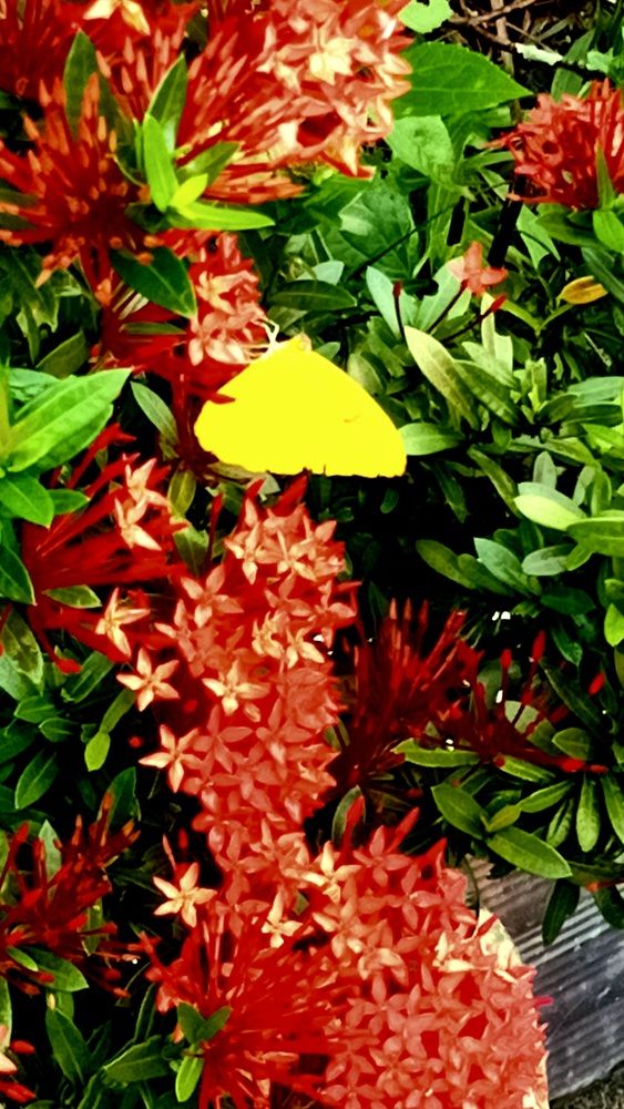 Фотография автора Jorge Lima