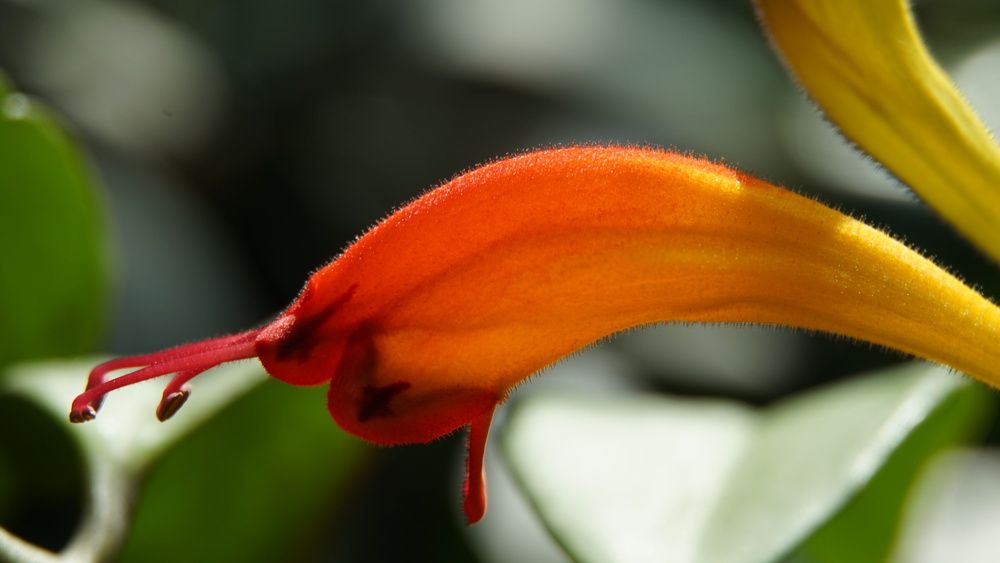 Photograph by сергей мишаков