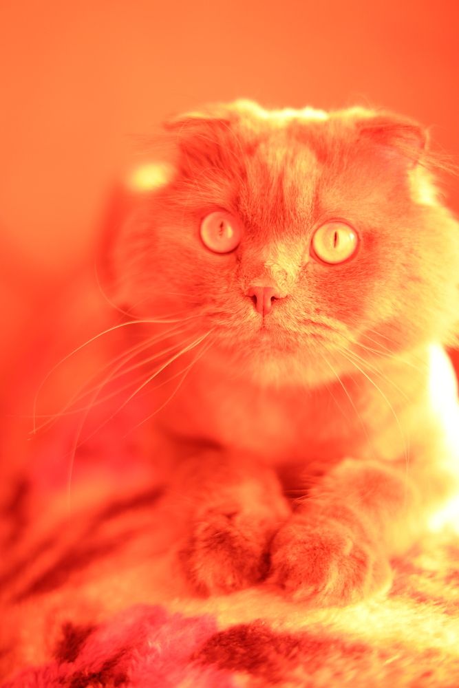 Photograph by Olga Nevedrova