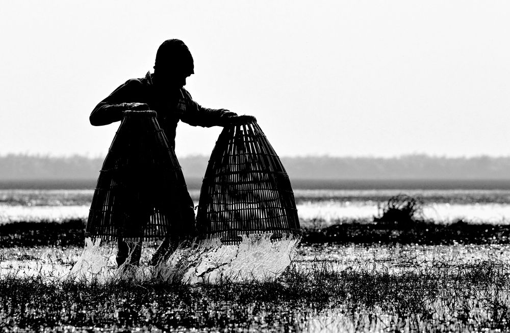 Catch The Fish with two hand