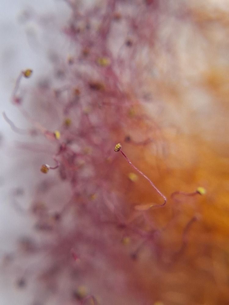 Фотография автора Vijayakumar