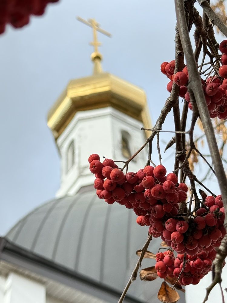 Photograph by Виктория Ляпина