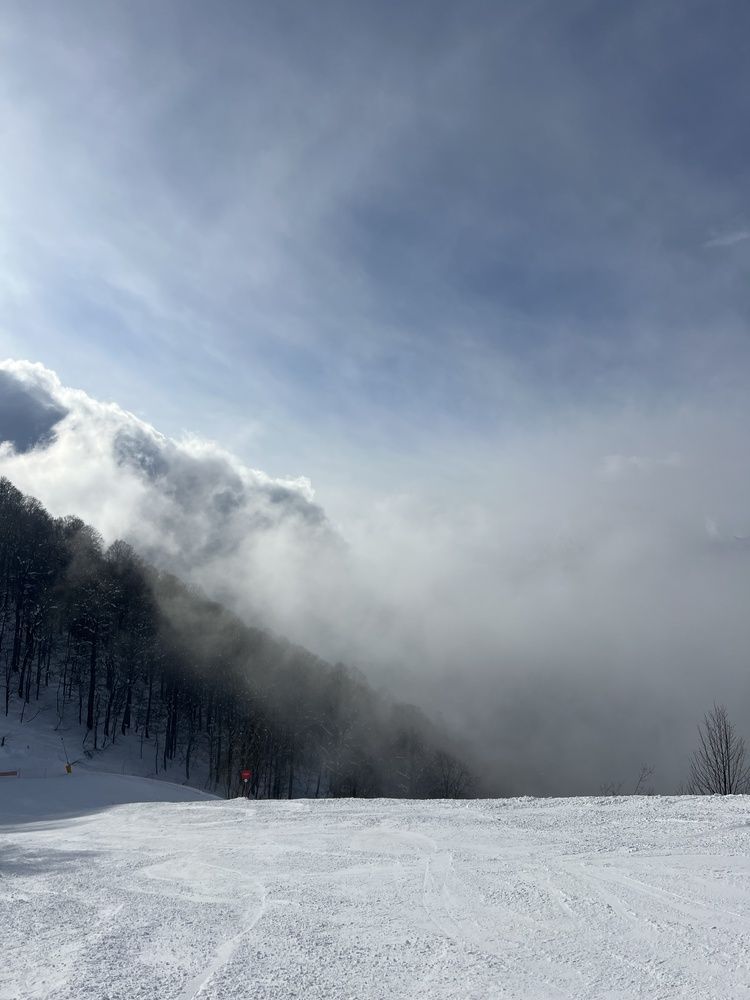 Photograph by Аксинья Коваленко