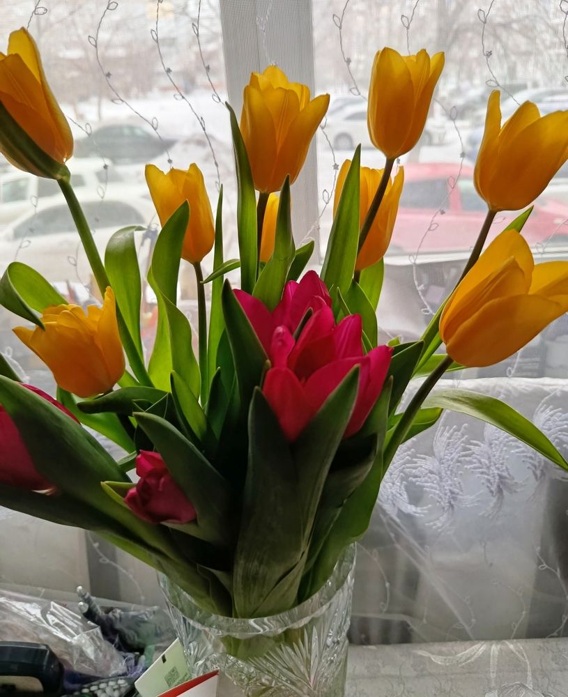 Photograph by Татьяна Гульпа