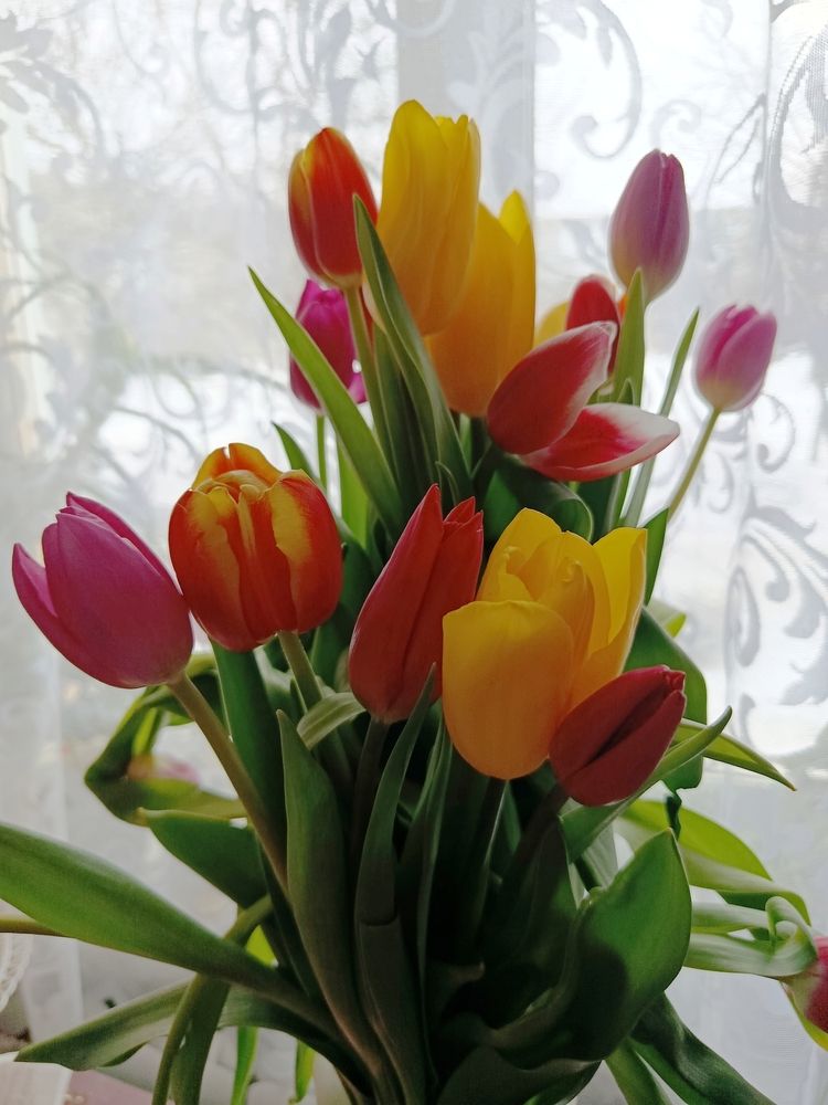 Photograph by Татьяна Гульпа