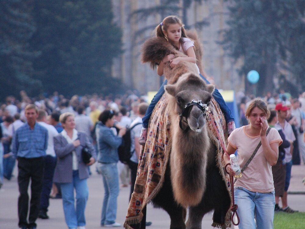 Photograph by Владимир Арбесман