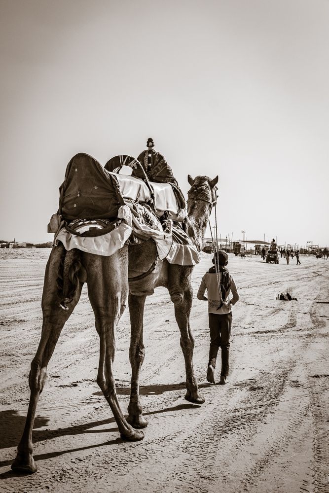 Photograph by Bharat Sonawane
