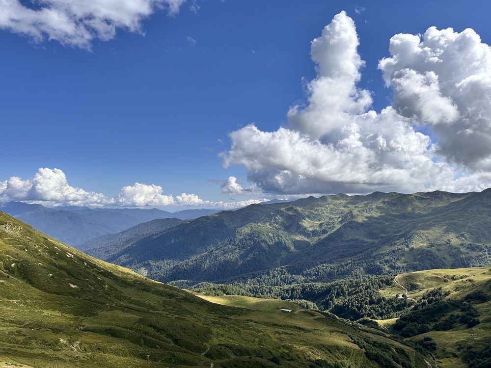 Photograph by Елена