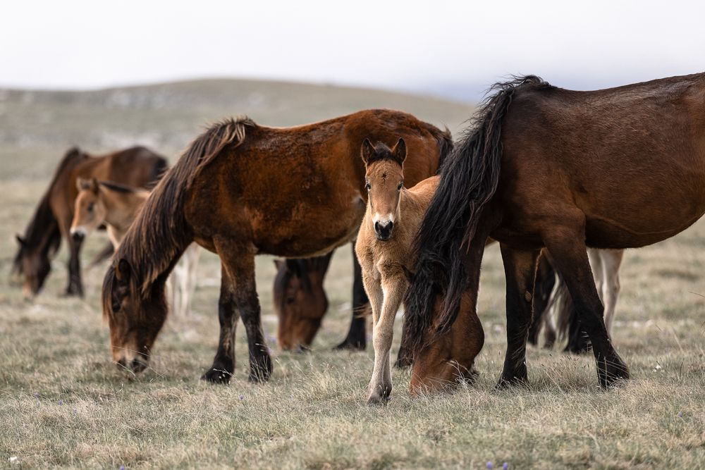 Photograph by Fabienne Gassmann